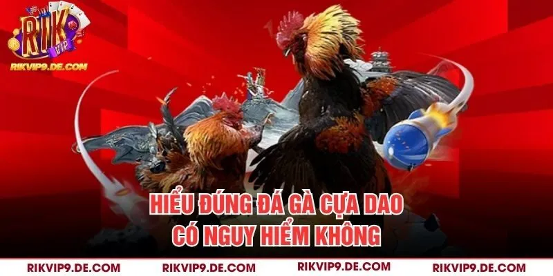 Hiểu đúng đá gà cựa dao có nguy hiểm không