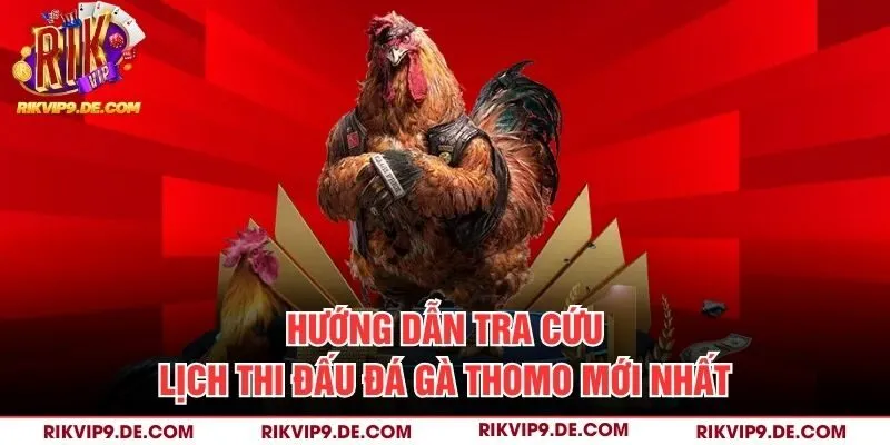 Hướng dẫn tra cứu lịch thi đấu đá gà Thomo mới nhất