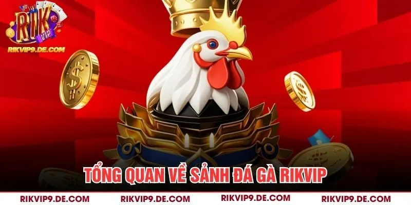 Tổng quan về sảnh đá gà Rikvip