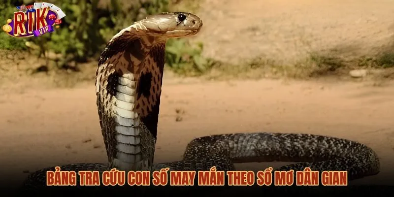 Bảng tra cứu con số may mắn khi mơ thấy rắn