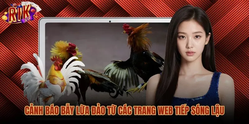 Chiêu trò lừa đảo qua web xem đá gà Campuchia trái phép