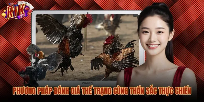Mẹo đá gà đối chiếu nhịp thở cùng sắc tố da