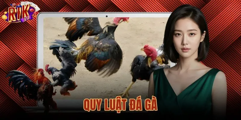 Quy Luật Đá Gà Thi Đấu - Tiêu Chuẩn Thắng Thua Tại Rikvip
